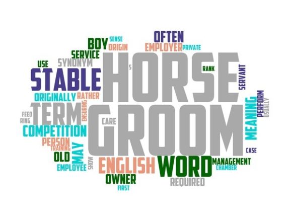 Stable Hand Typography Tumbler: A Creative Tool for Designers and Artists