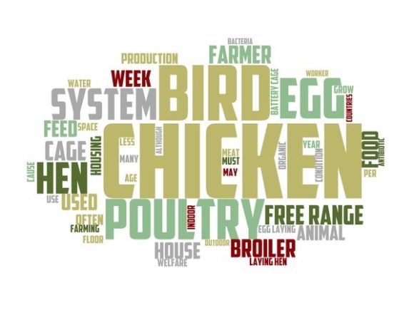 The Turkey Farmer Typography Skinny Tumbler: A Creative Tool for Design Enthusiasts