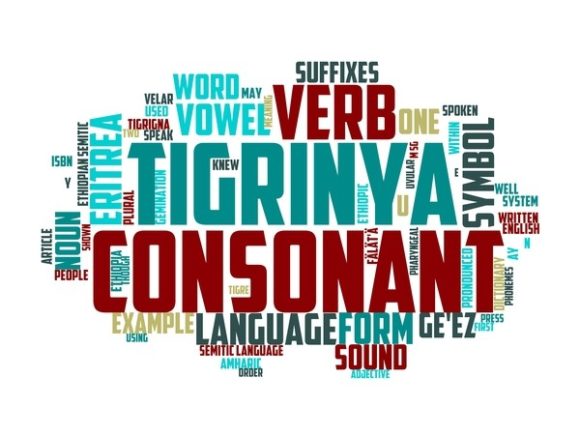 Tigrinya Typography Tshirt